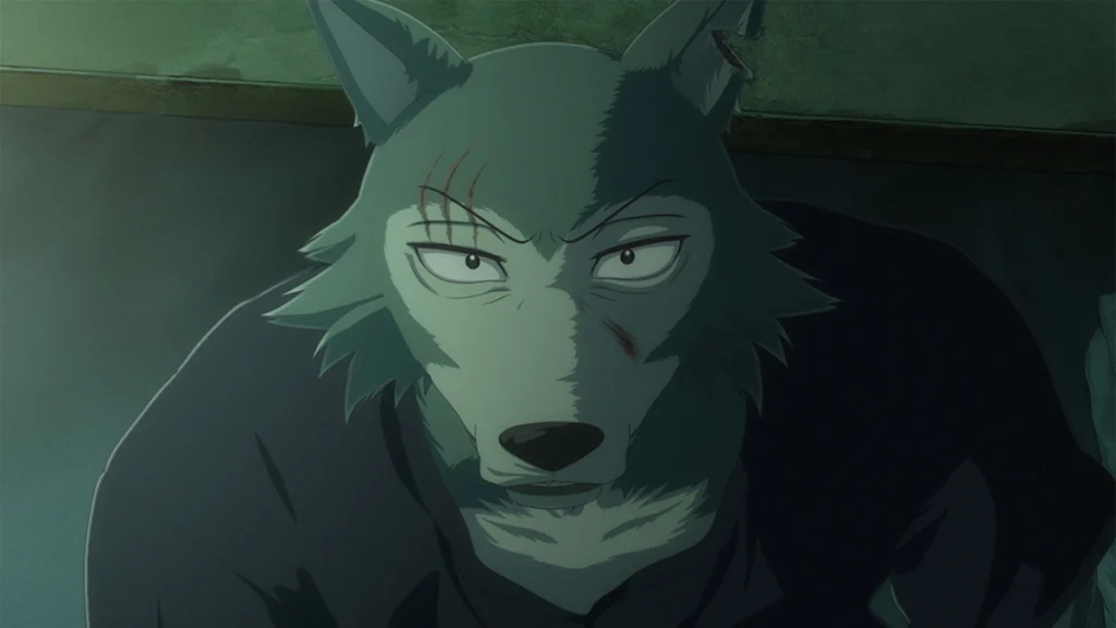 Finał Beastars coraz bliżej. Zakończenie historii poznamy w marcu